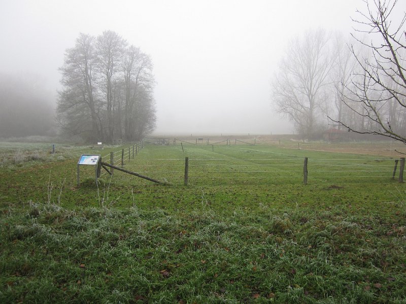 CTF Hoesseringen Joerg72 55